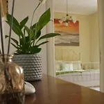 Bed and Breakfast Il Riccio 3*